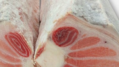 놓치면 후회! 번개시장 생참치 특가 후기 & 구매 꿀팁 🐟