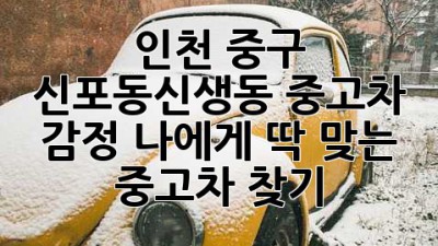 인천 중구 신포동/신생동 중고차 감정: 나에게 딱 맞는 중고차 찾기