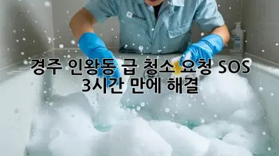 경주 인왕동 급 청소 요청 SOS! 🚨 3시간 만에 해결?