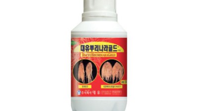 ✨ 뿌리나라 득템 후기! 솔직 가격 & 활용 꿀팁 대방출 ✨